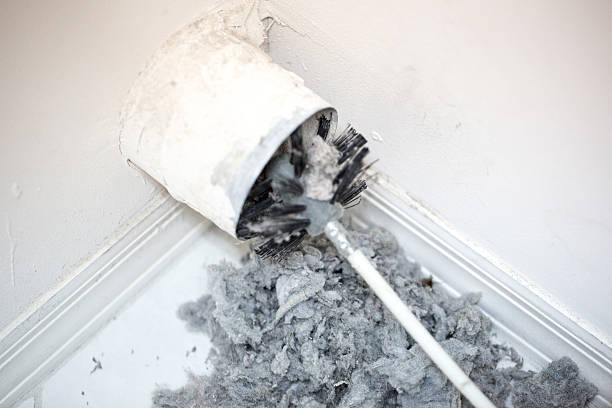 Best Professional Duct Cleaning Services  in Galliano, LA